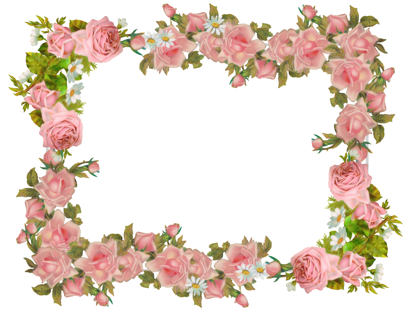 Clipart Frame Pink Rose Clipart Frame Pink Rose Transparent Free For