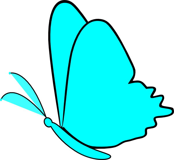 Butterfly simple