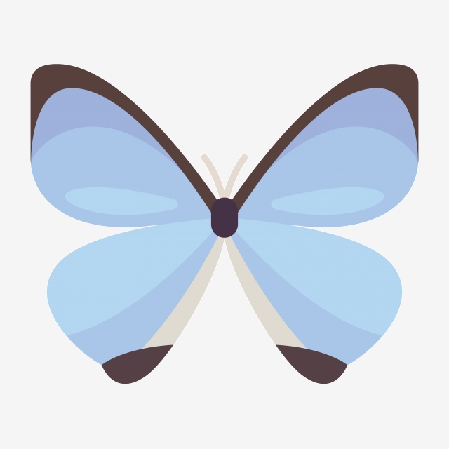 Cartoon animal . Clipart butterfly sky blue