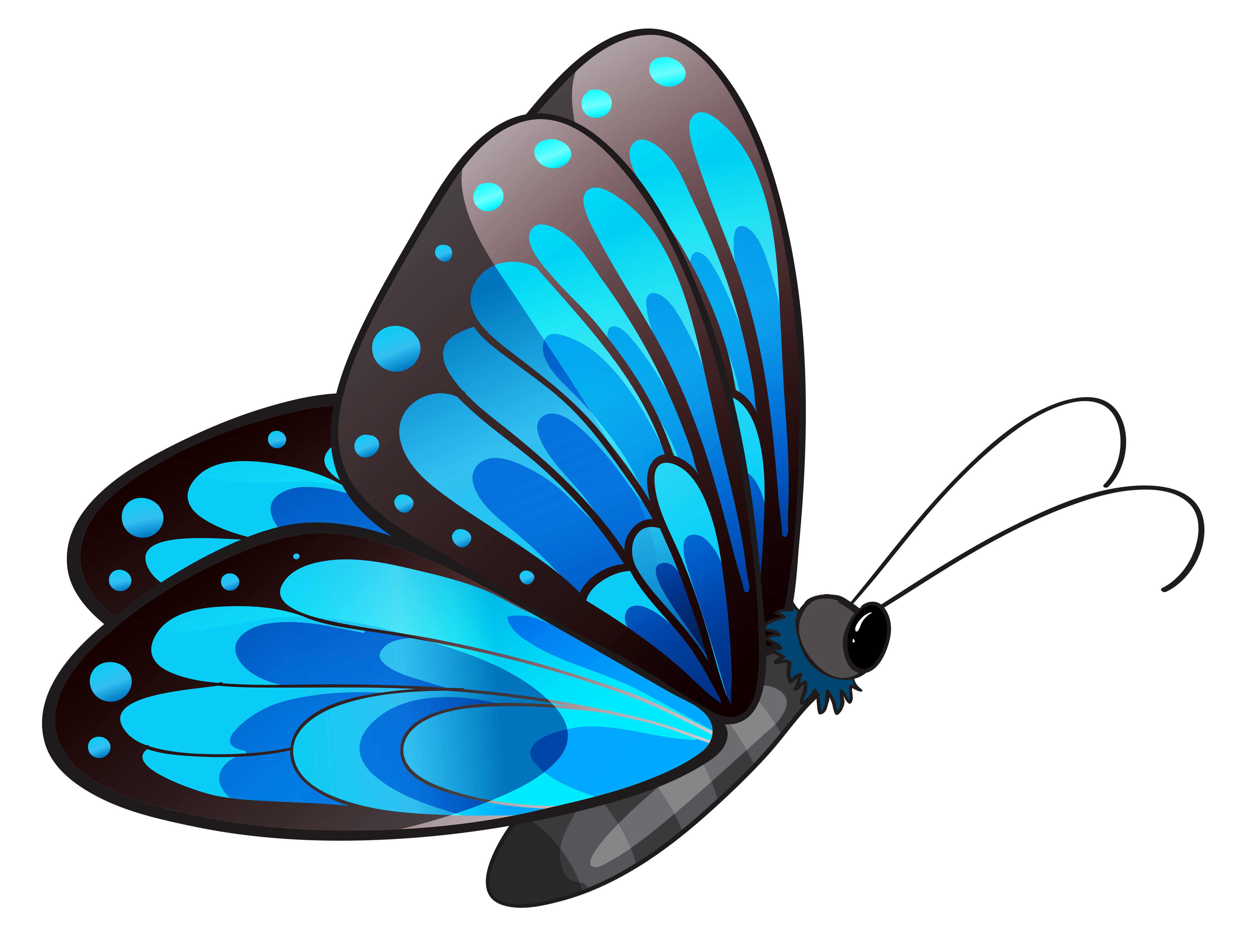 clipart butterfly spring