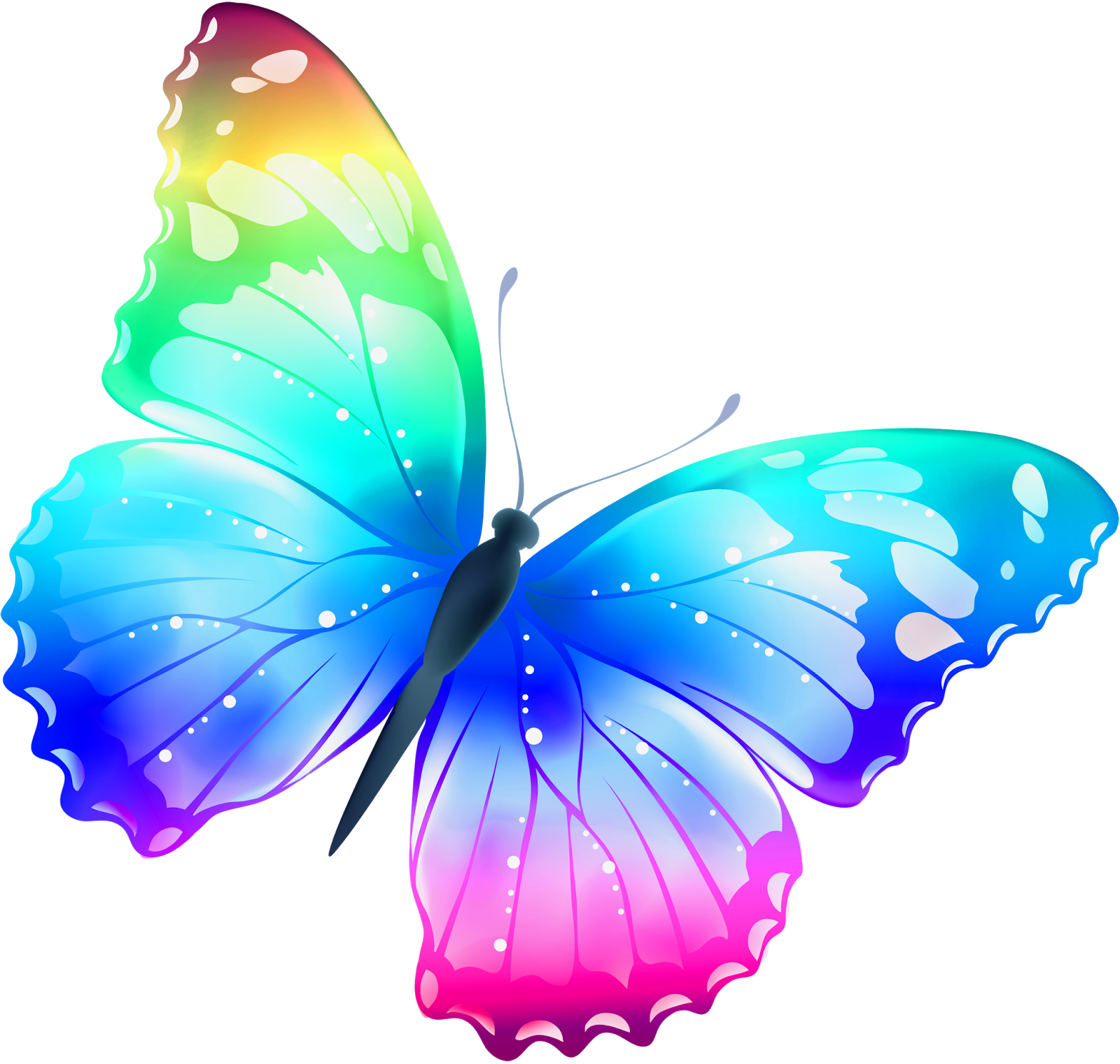 clipart butterfly trail