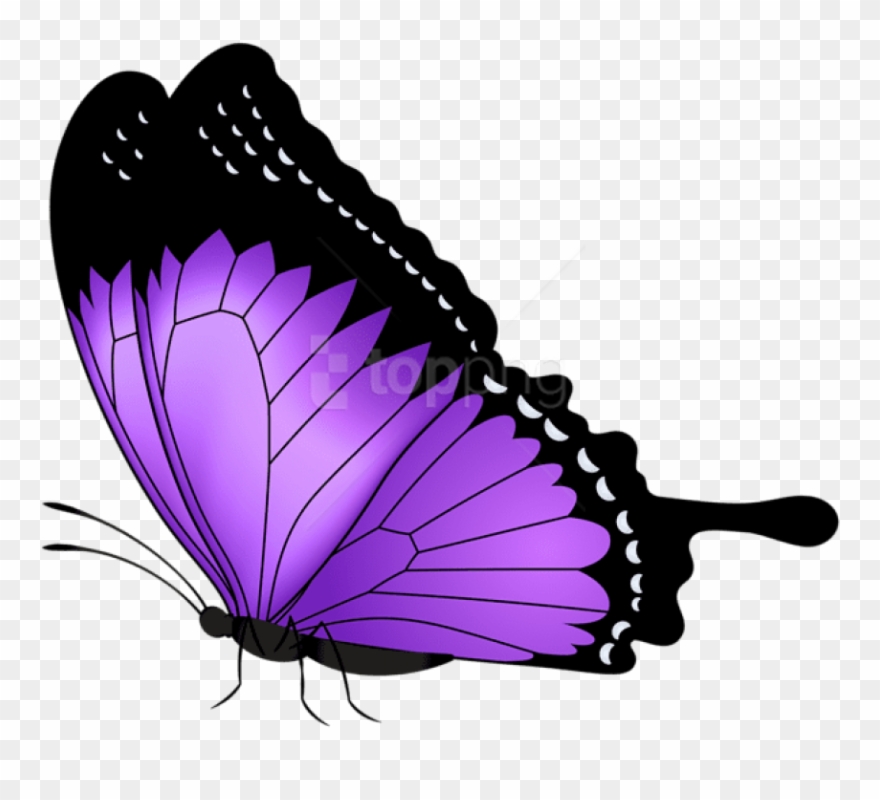Clipart butterfly violet. Purple transparent png clip
