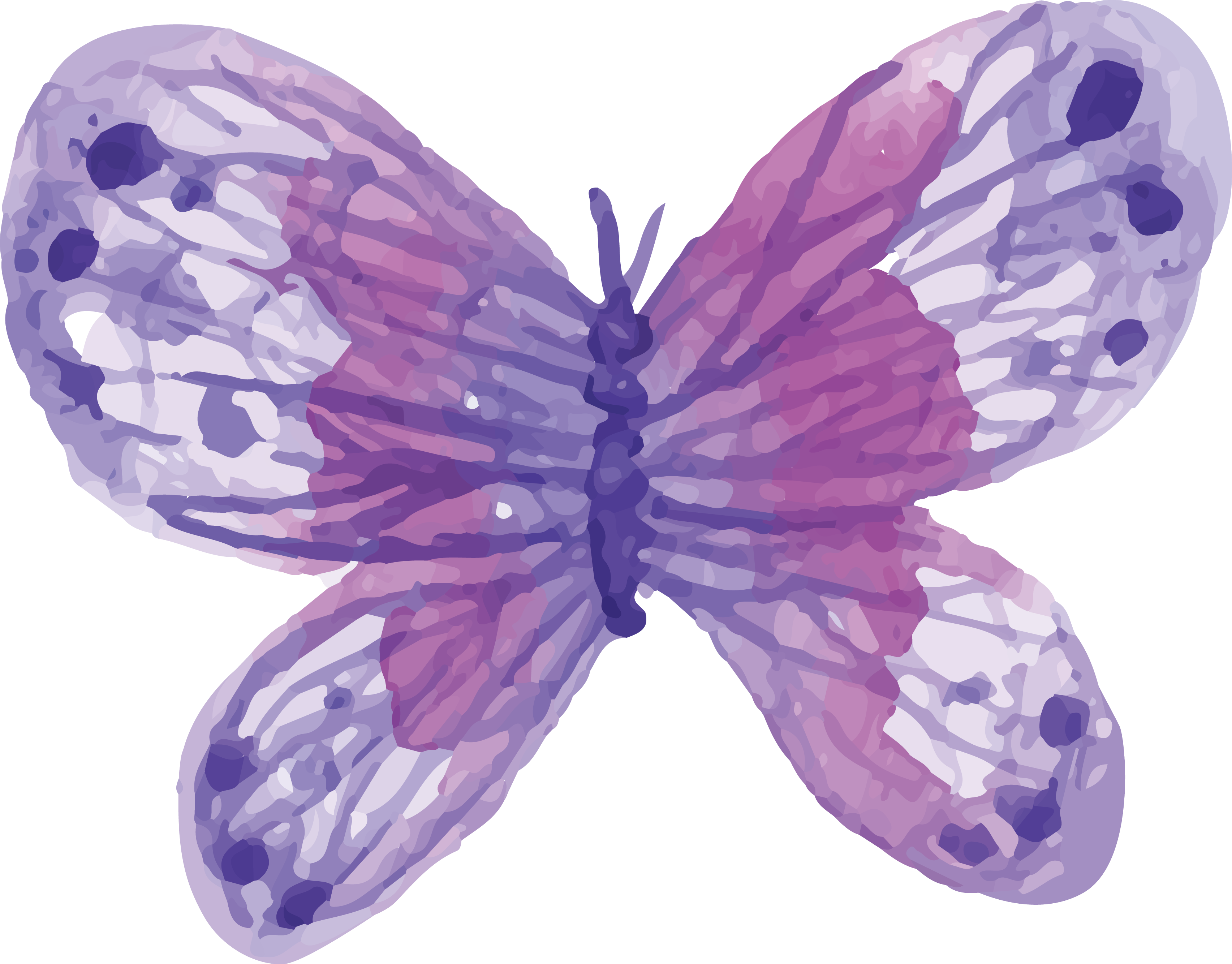clipart butterfly watercolor