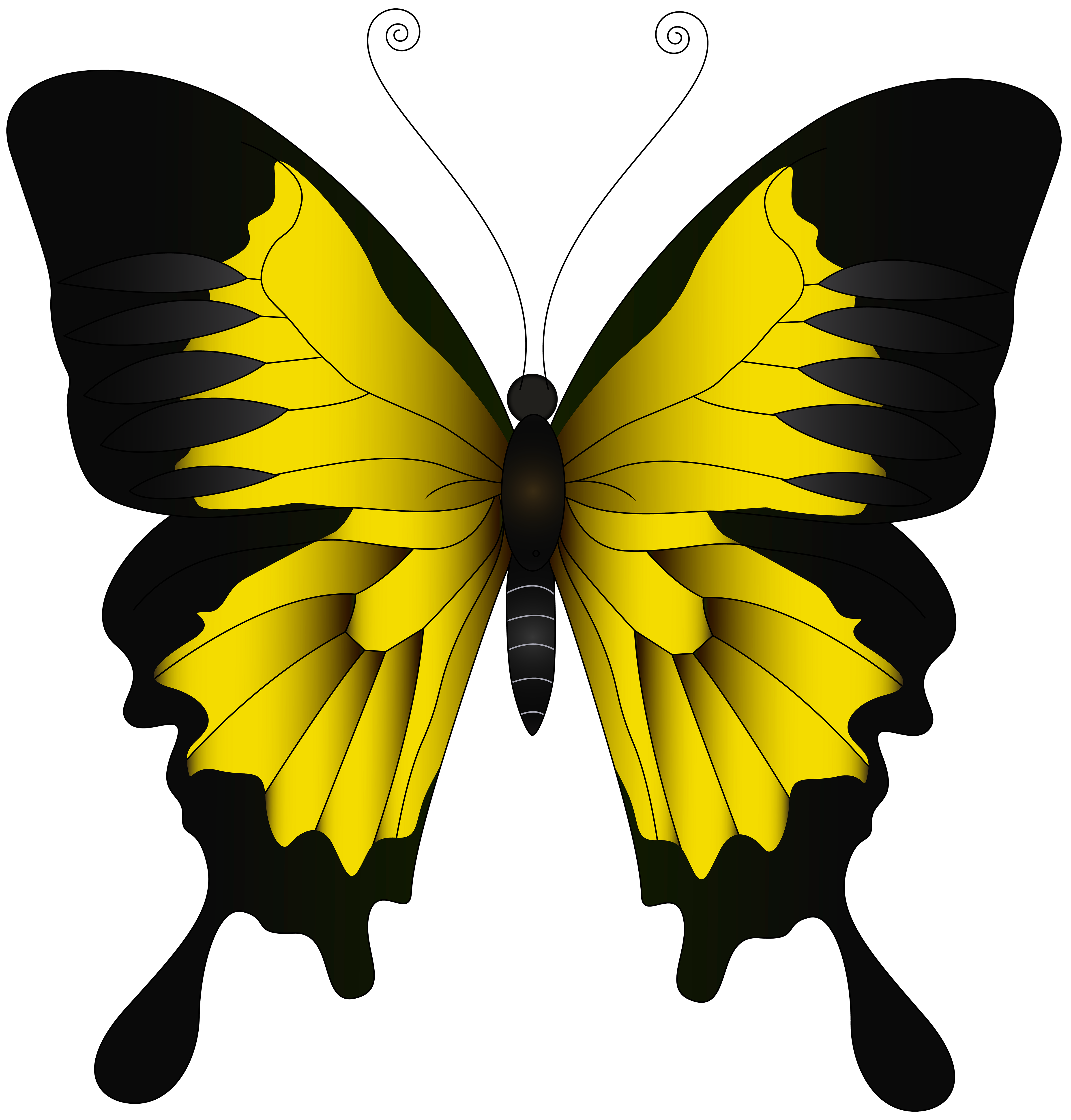 clipart butterfly yellow