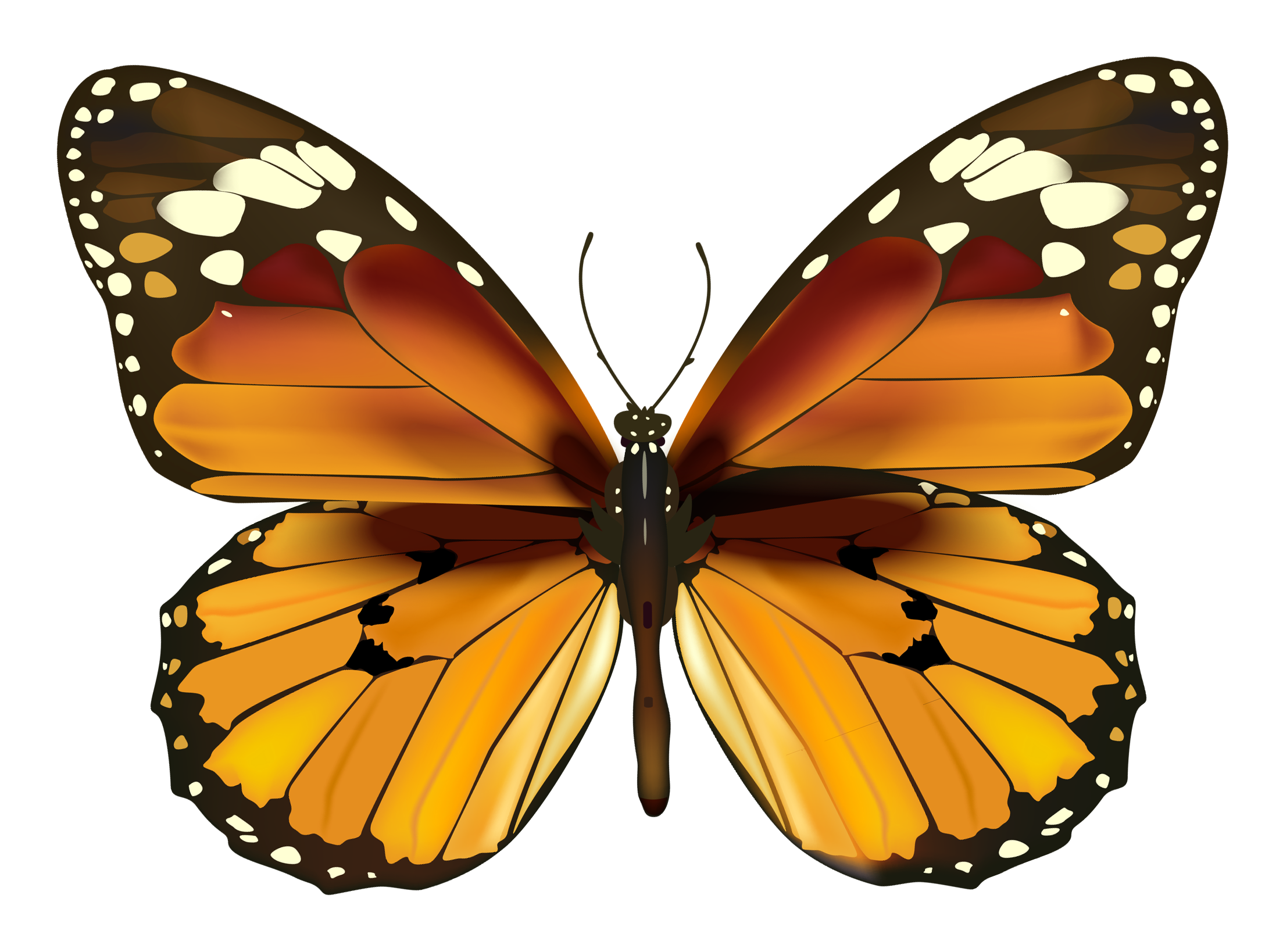 clipart butterfly yellow