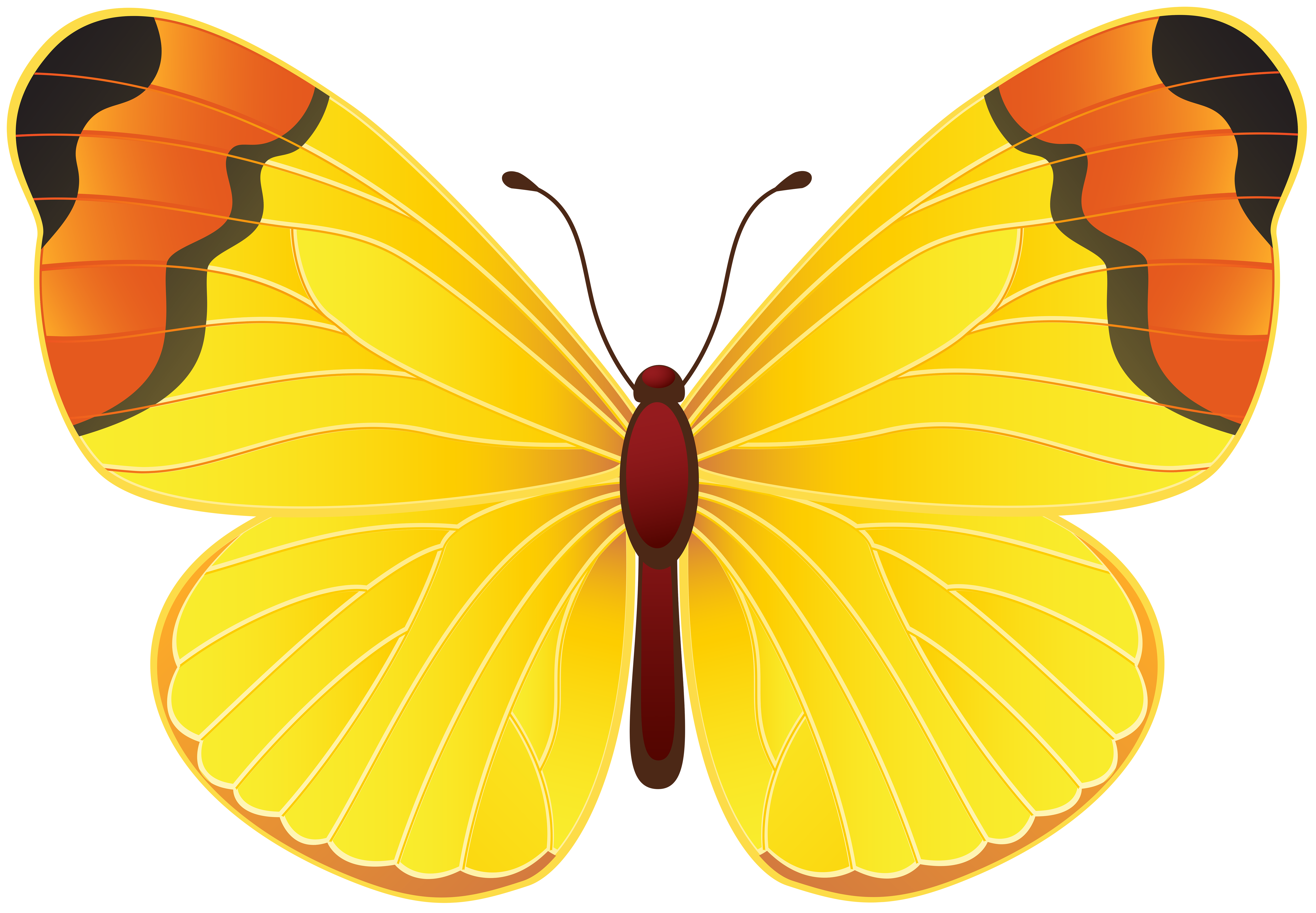 clipart butterfly yellow