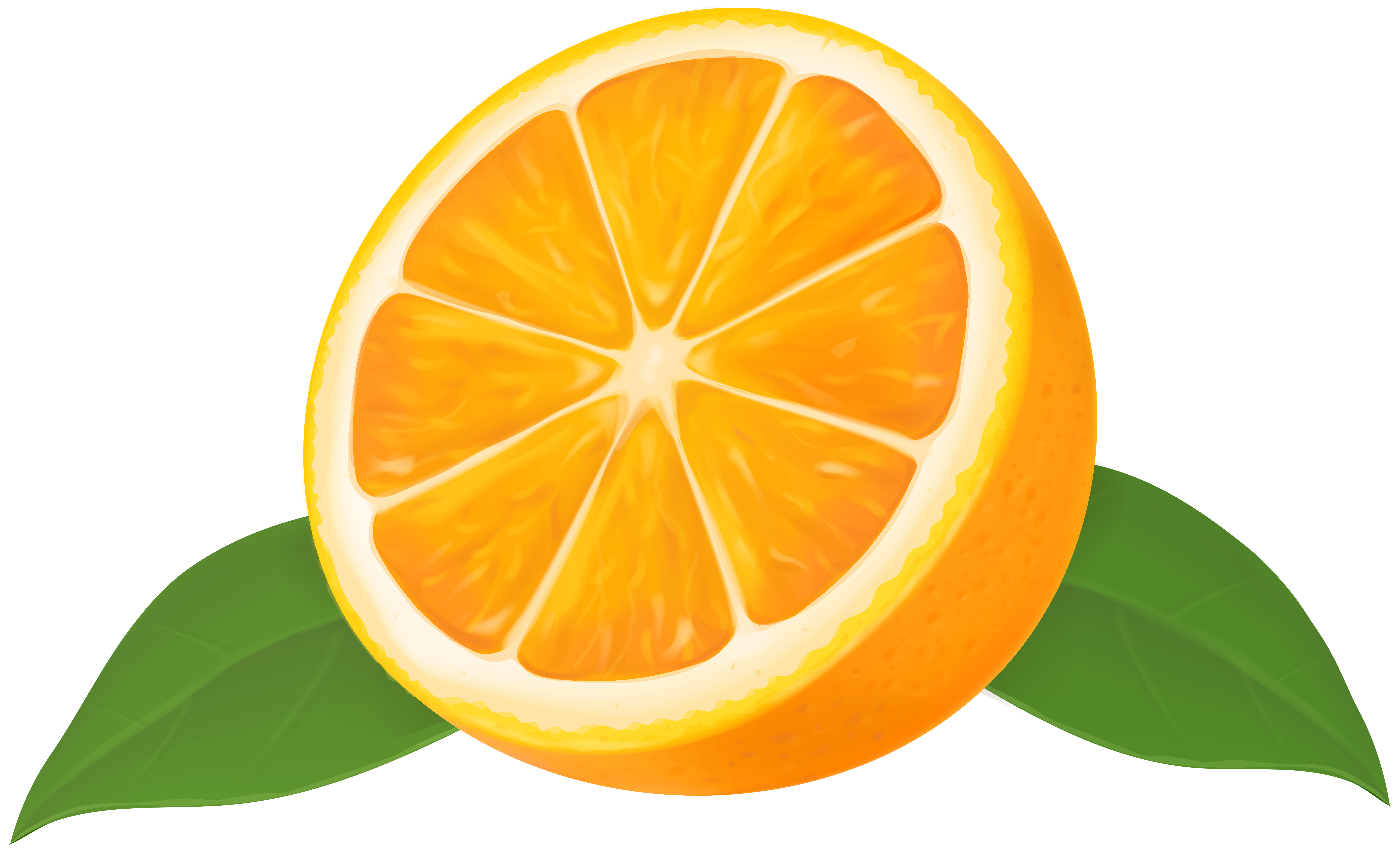 Orange transparent clip art. Lime clipart half lime