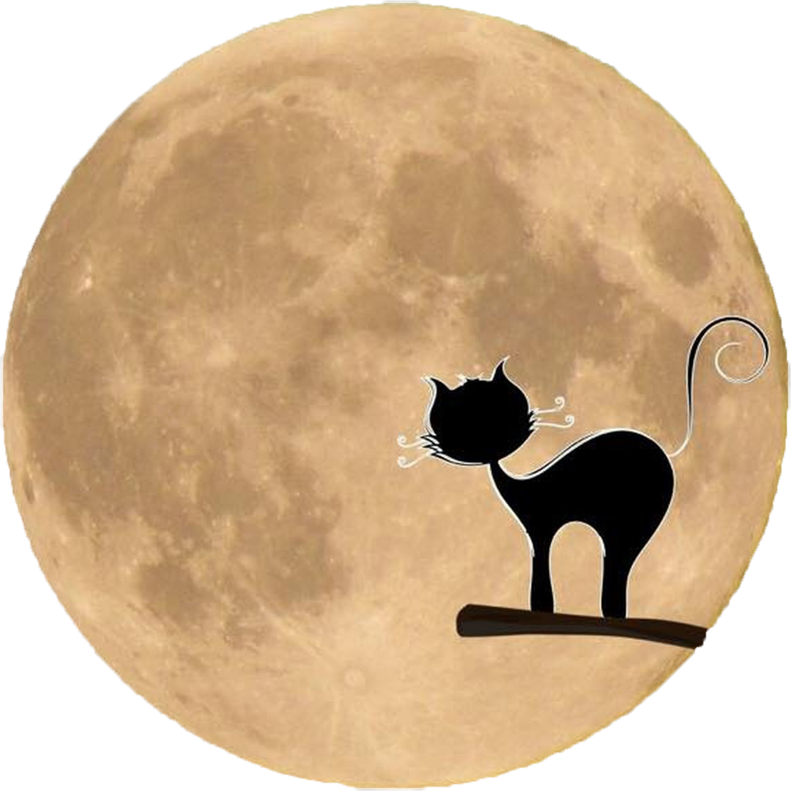 Free black cat silhouette. Moon clipart transparent background