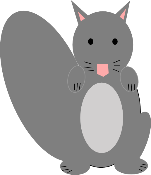 Squirrel grey squirrel
