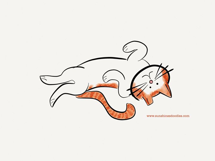 Rubs sunshine s doodles. Clipart cat belly