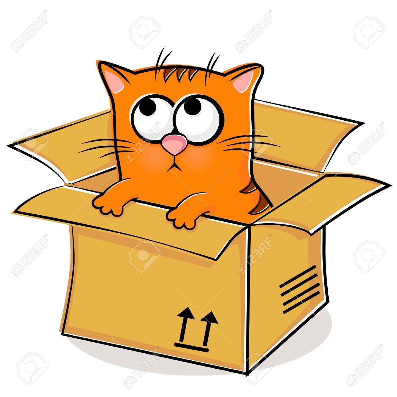 clipart cat box