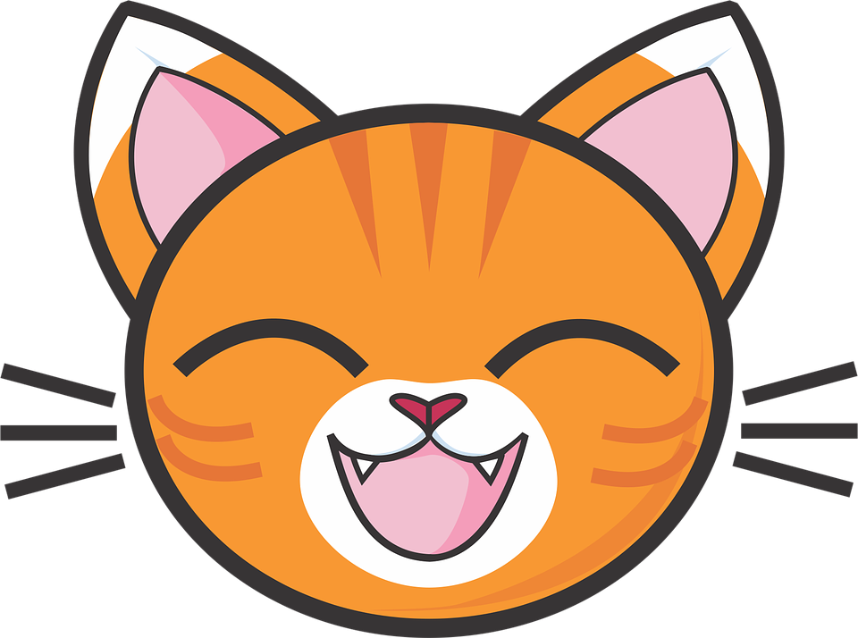 Clipart png face. Calico cat orange 