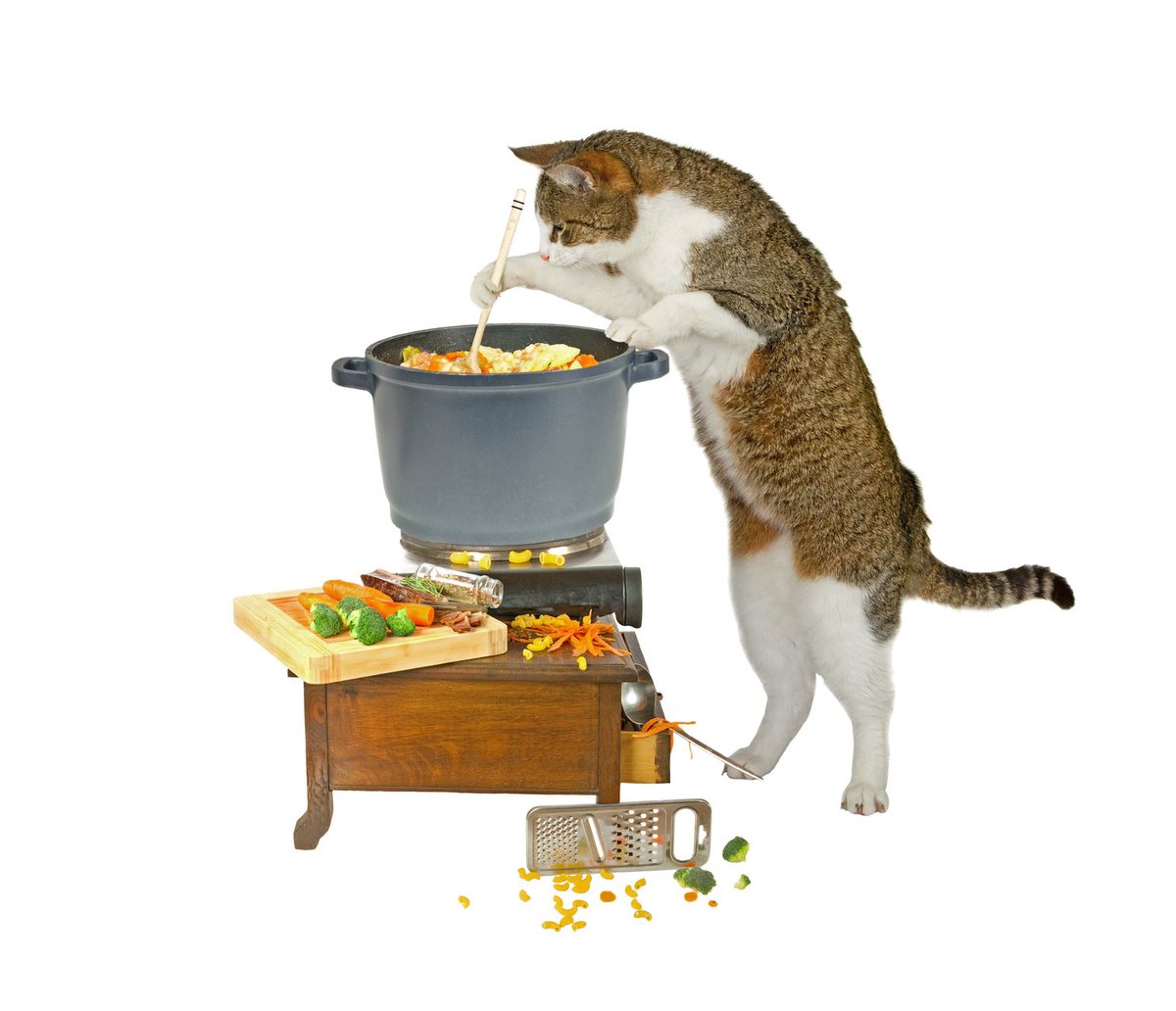 clipart cat cooking