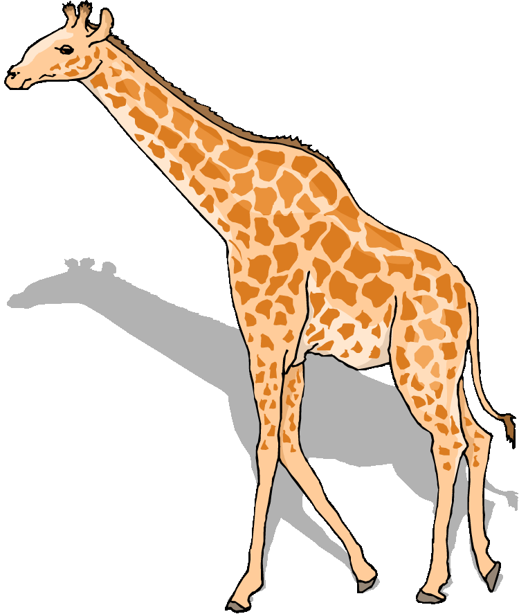 Clipart giraffe simple. Free fishing cat tall