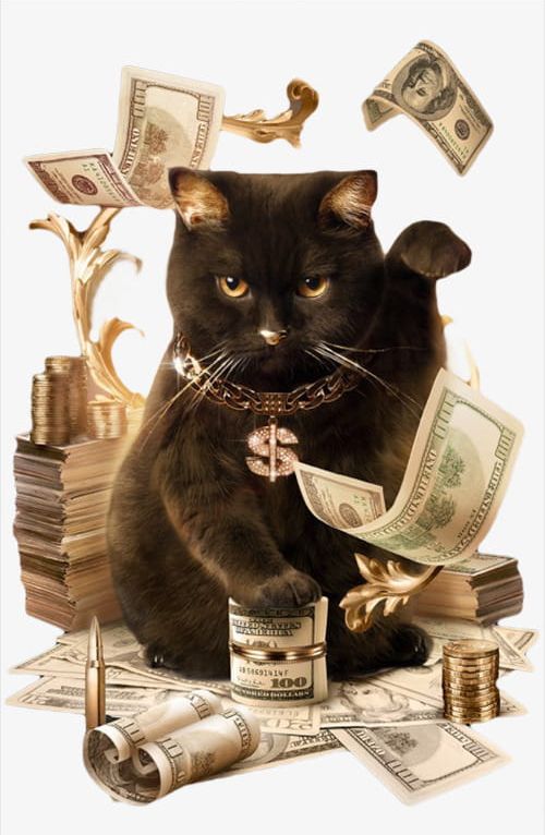 Black png animal . Clipart cat money