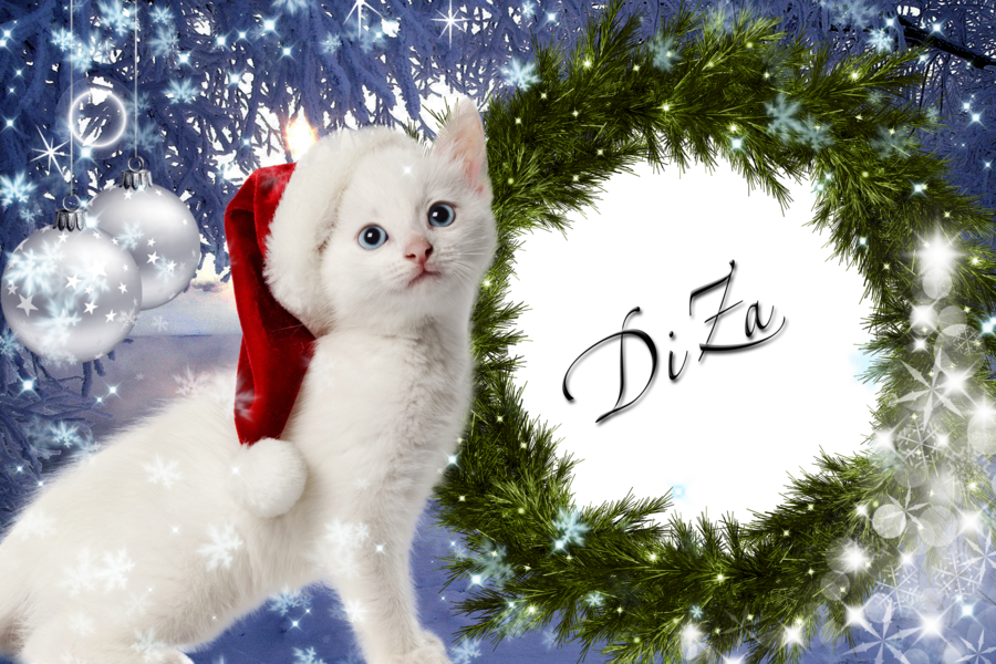 clipart cat new year
