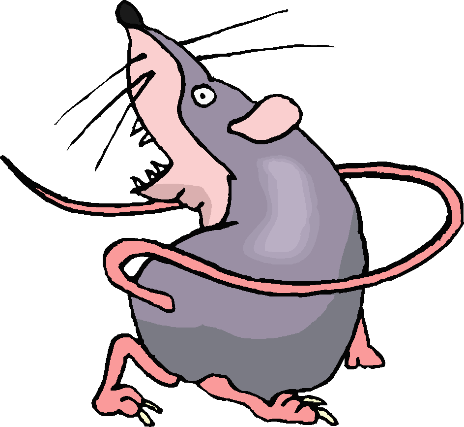Fight clipart aggressive child.  collection of rat
