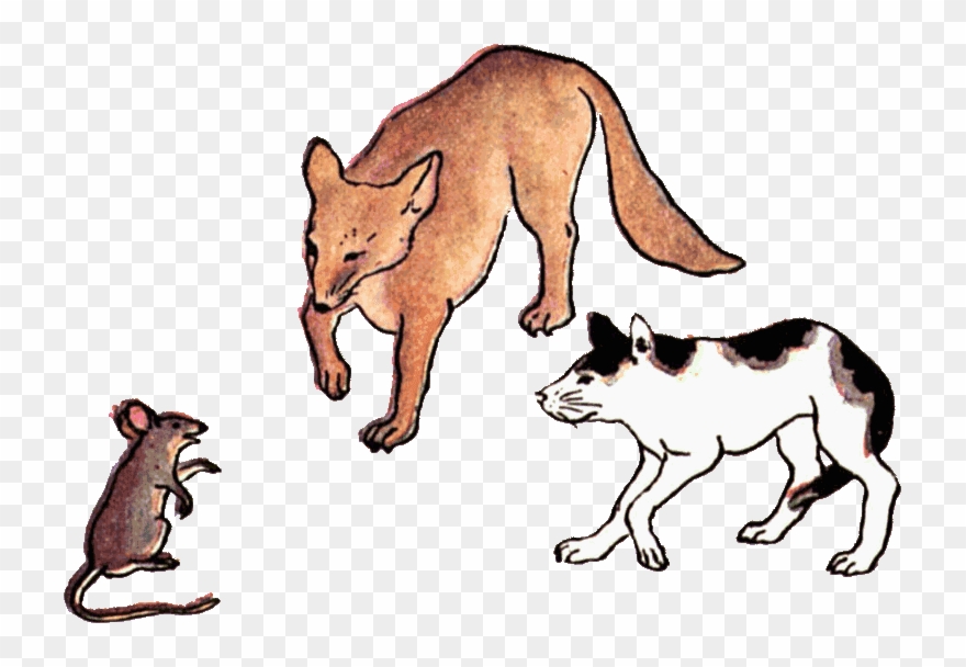 Dogs cats and rats. Clipart cat rat