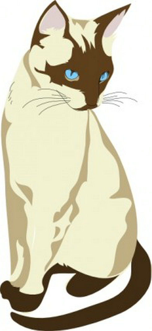 Free download clip art. Clipart cat vector