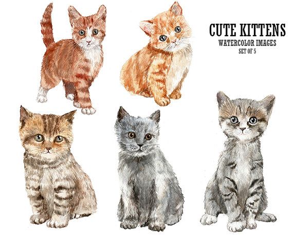 Kittens clipart watercolor. Pin on animals baby