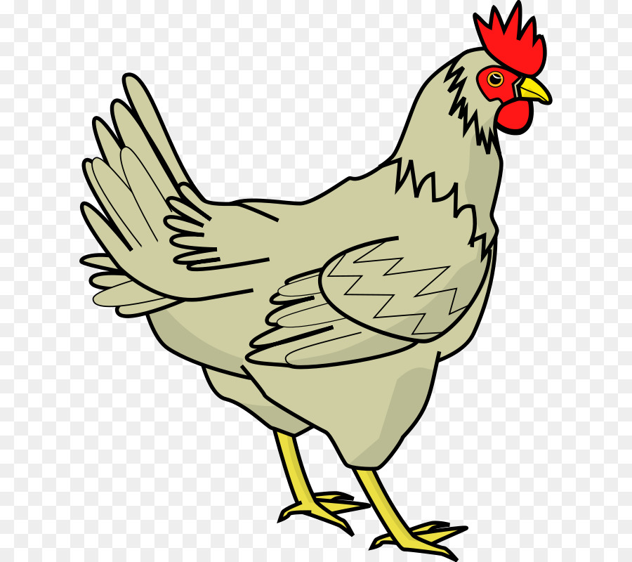 clipart chicken animal