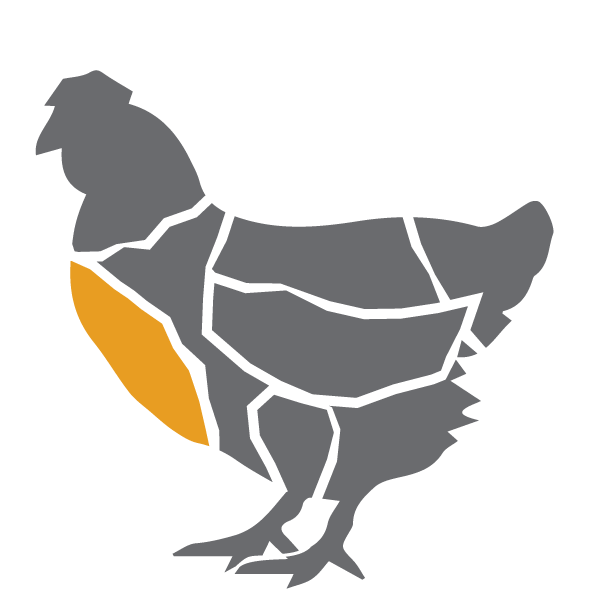 clipart chicken chicken leg