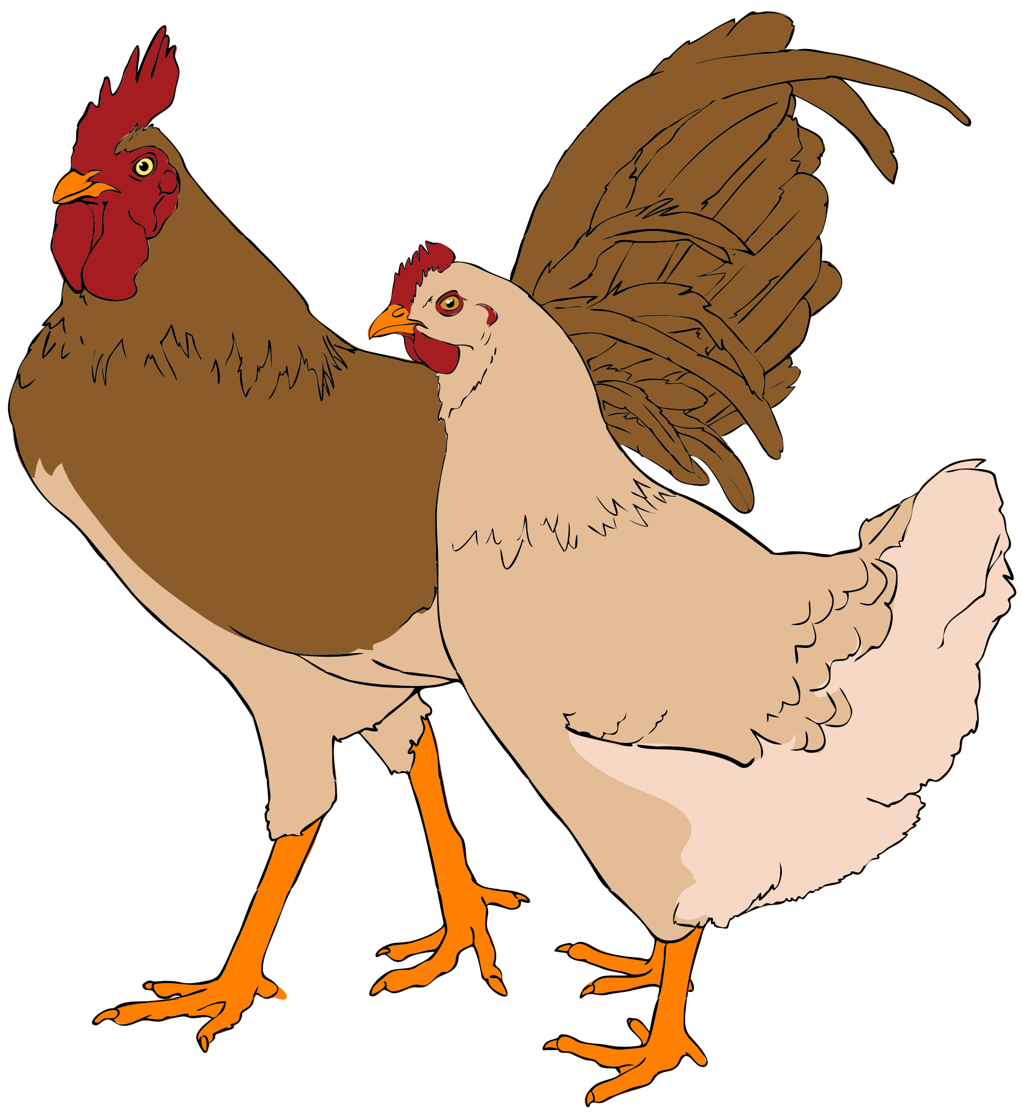 dead clipart rooster
