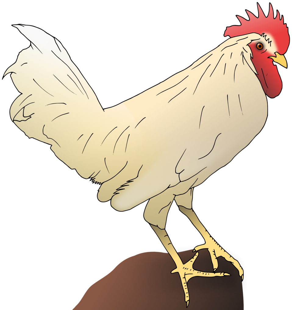 clipart chicken fowl