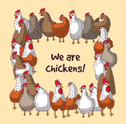 clipart chicken group chicken