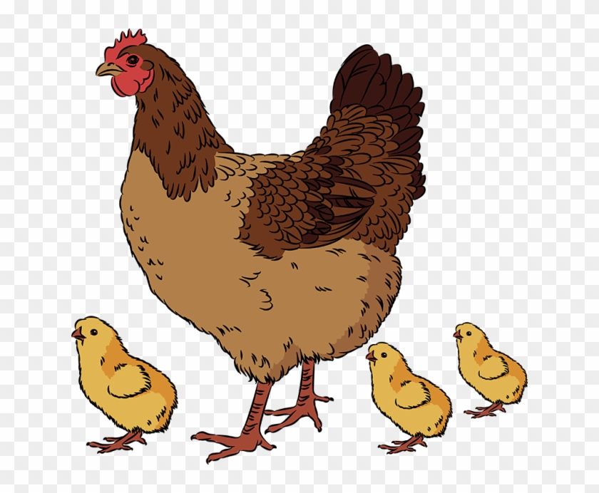 Pencil and in with. Clipart chicken hen