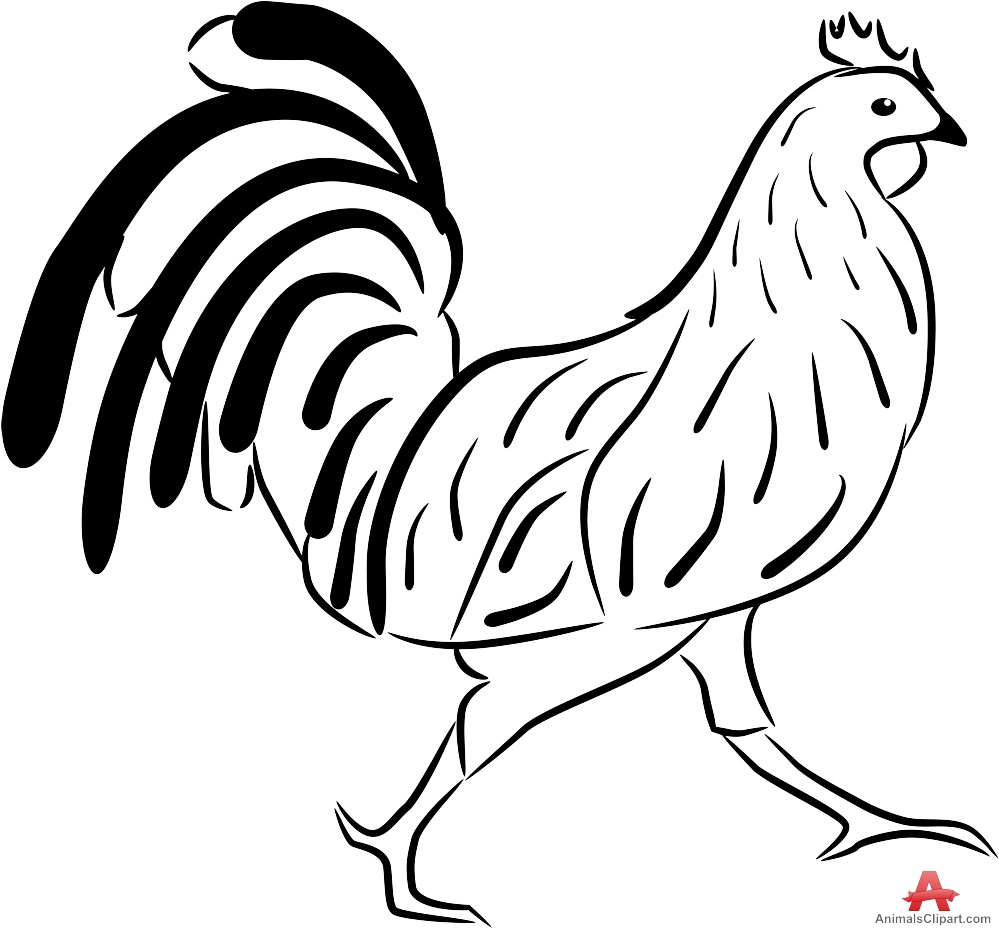 Clipart Chicken Outline Clipart Chicken Outline Transparent FREE For