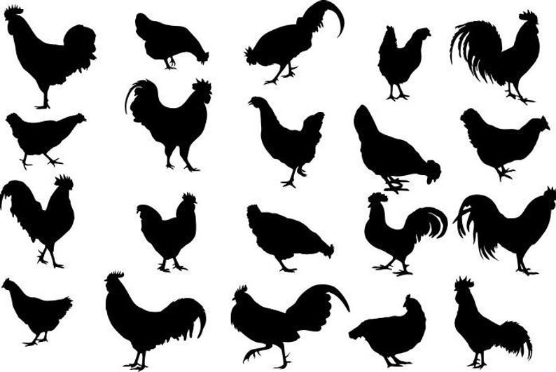 Clipart chicken pdf. Rooster silhouettes eps dxf