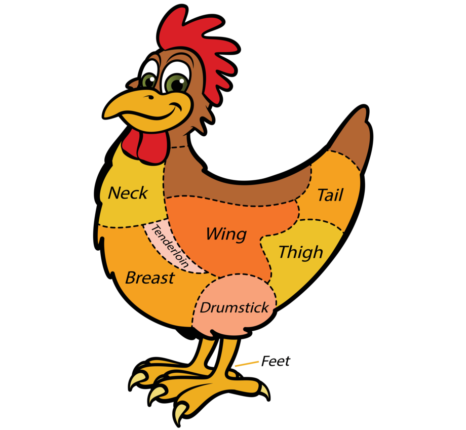Hen clipart common animal. Cuts of chicken us