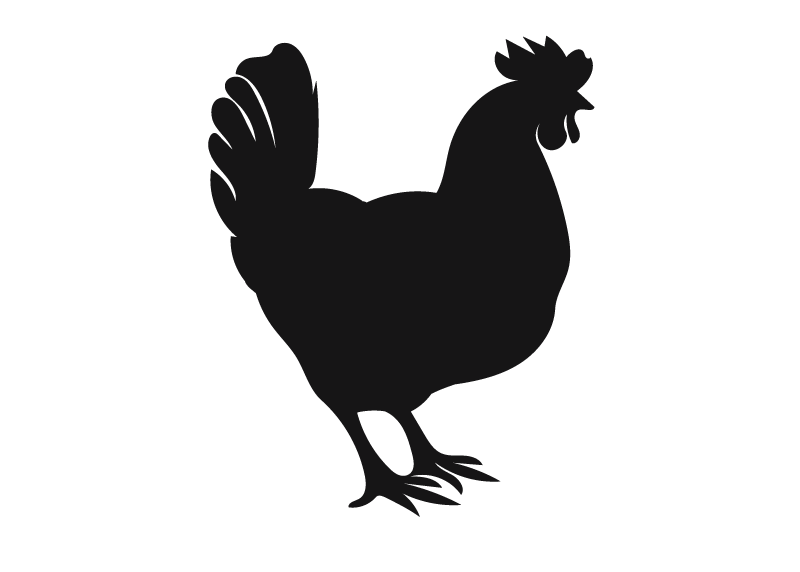 silhouette clipart chicken