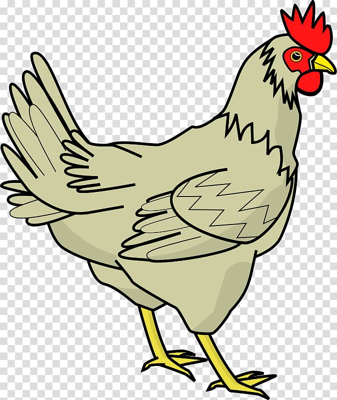 clipart chicken transparent background