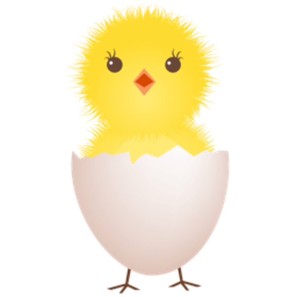  collection of chicken. Eggs clipart cartoon