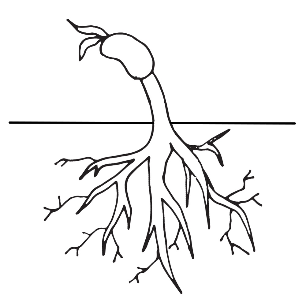 planting clipart black and white