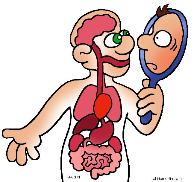 Clipart children body part.  collection of human