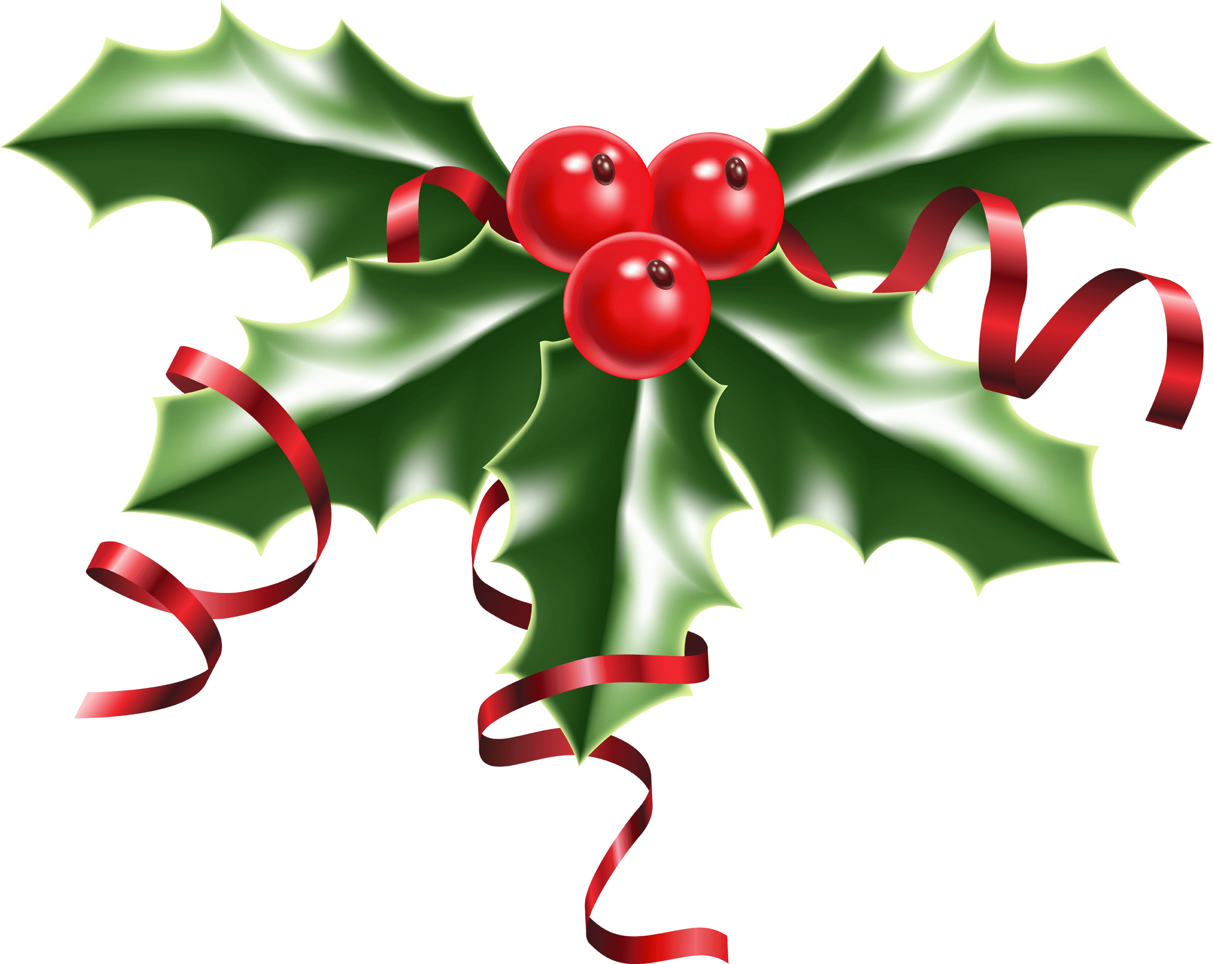 clipart-christmas-berry-clipart-christmas-berry-transparent-free-for-download-on-webstockreview