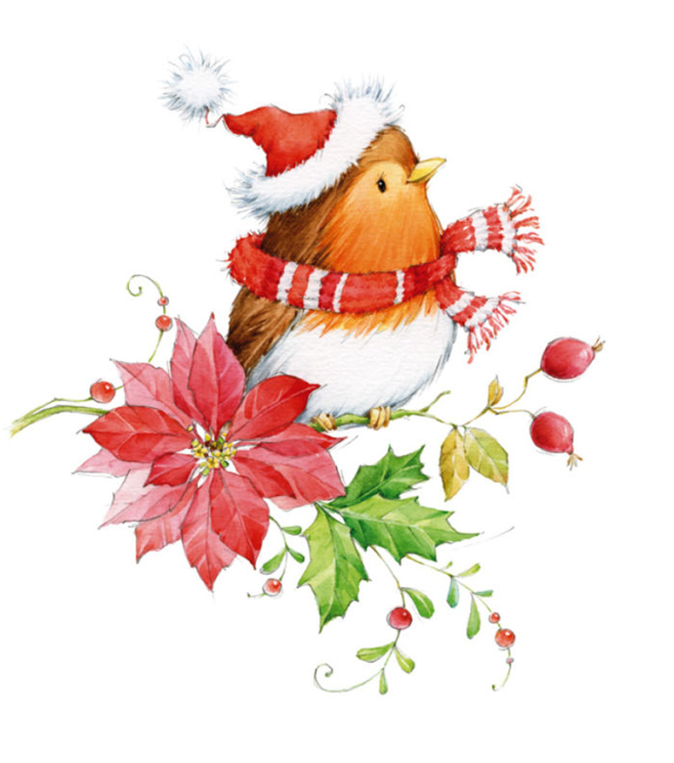 Whimsical with poinsettia big. Clipart christmas bird