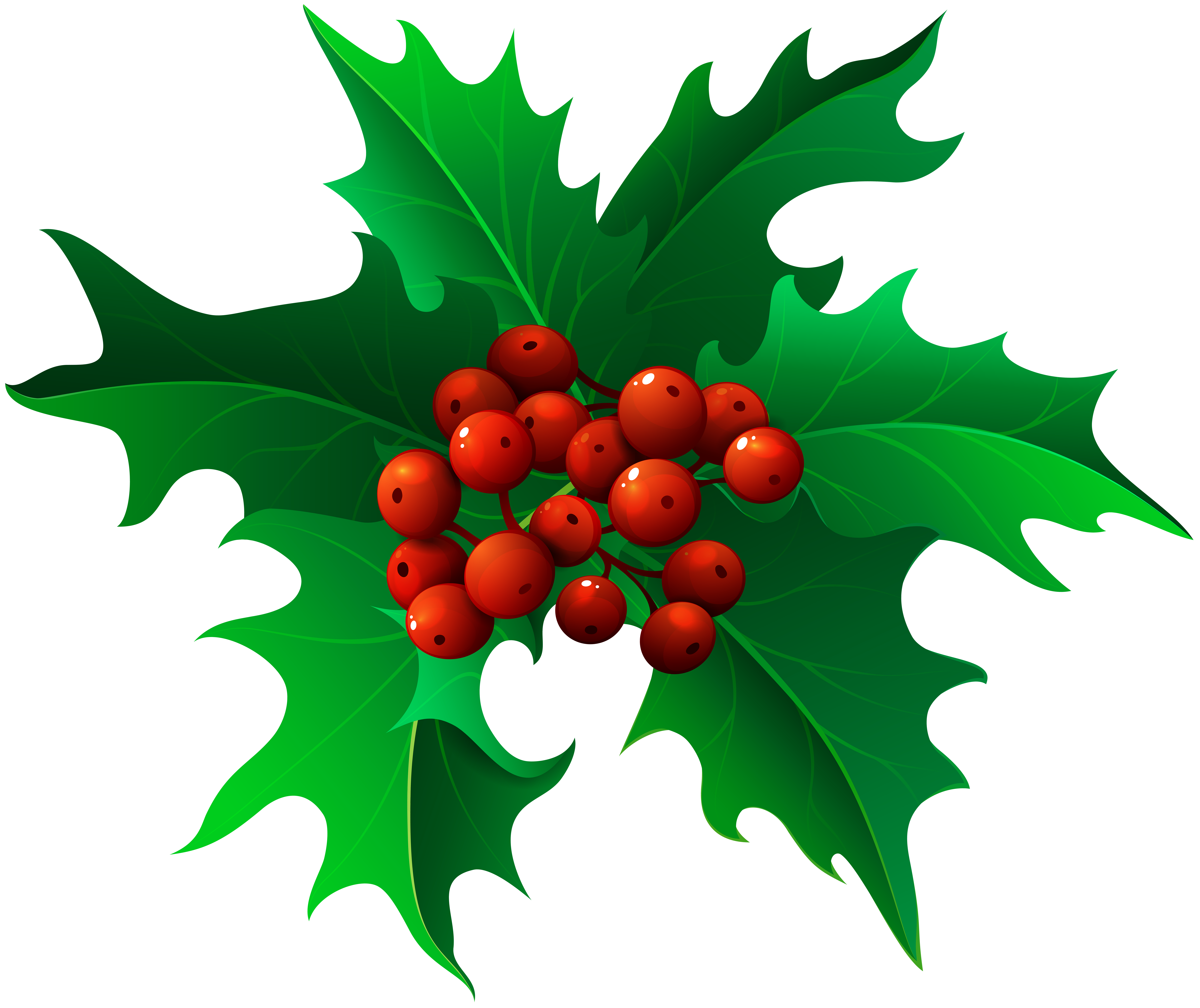 Holly Clipart Leaves Holly Holly Leaves Holly Transparent FREE For 