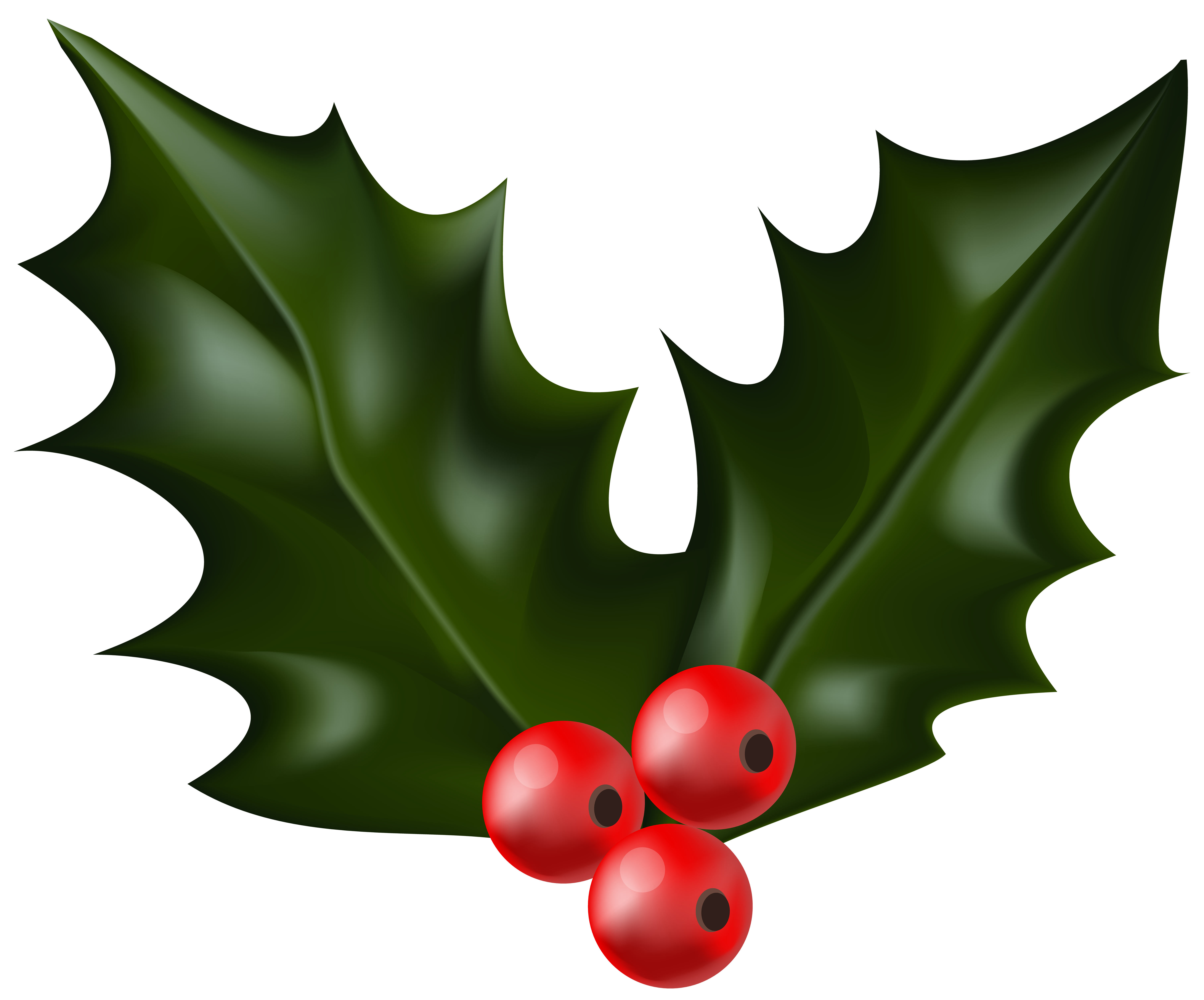 Christmas mistletoe png clip. Holly clipart vector