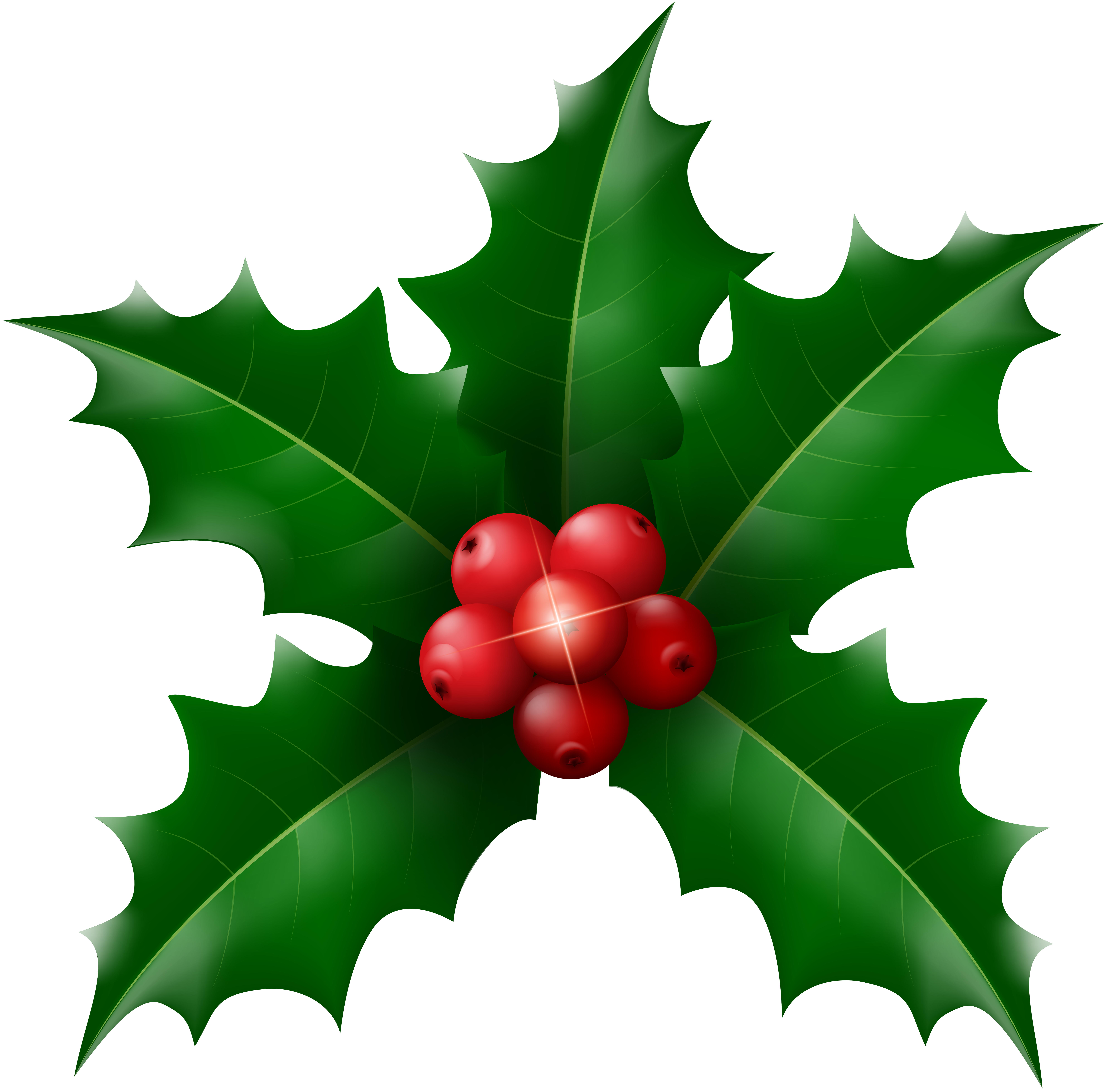 leaves clipart christmas