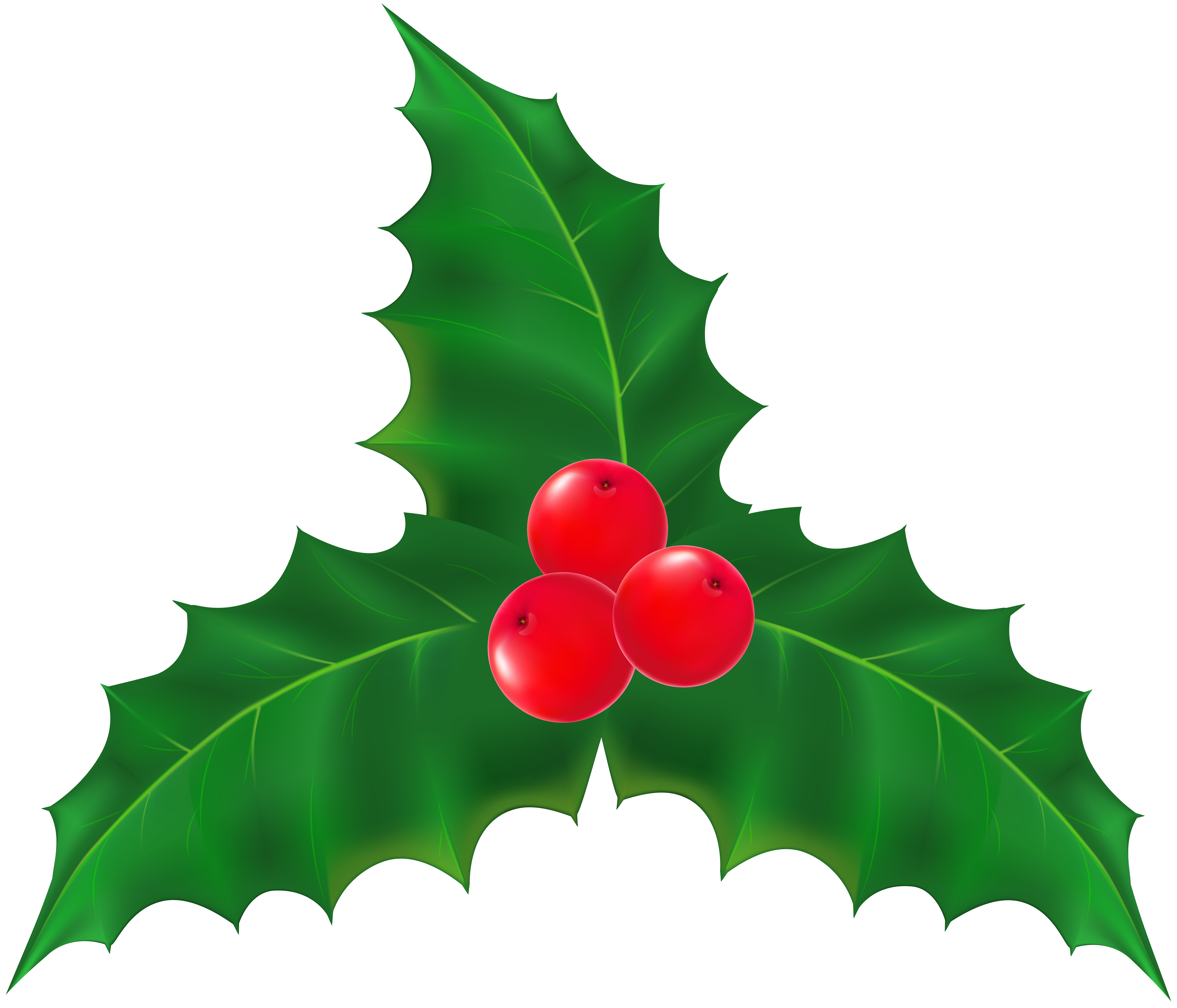 Clipart free holly. Leaf at getdrawings com