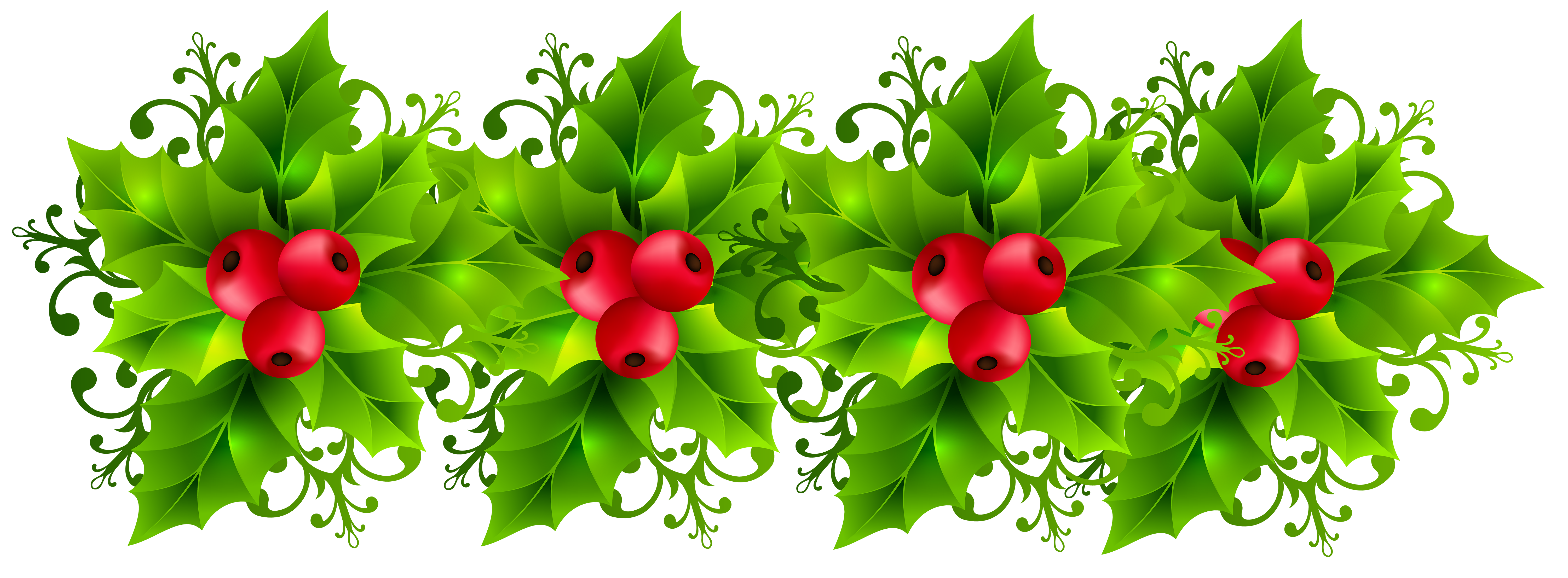 Christmas holly garland transparent. Floral clipart greenery