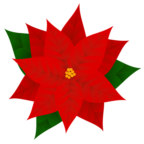 Gallery free pictures . Poinsettias clipart candel