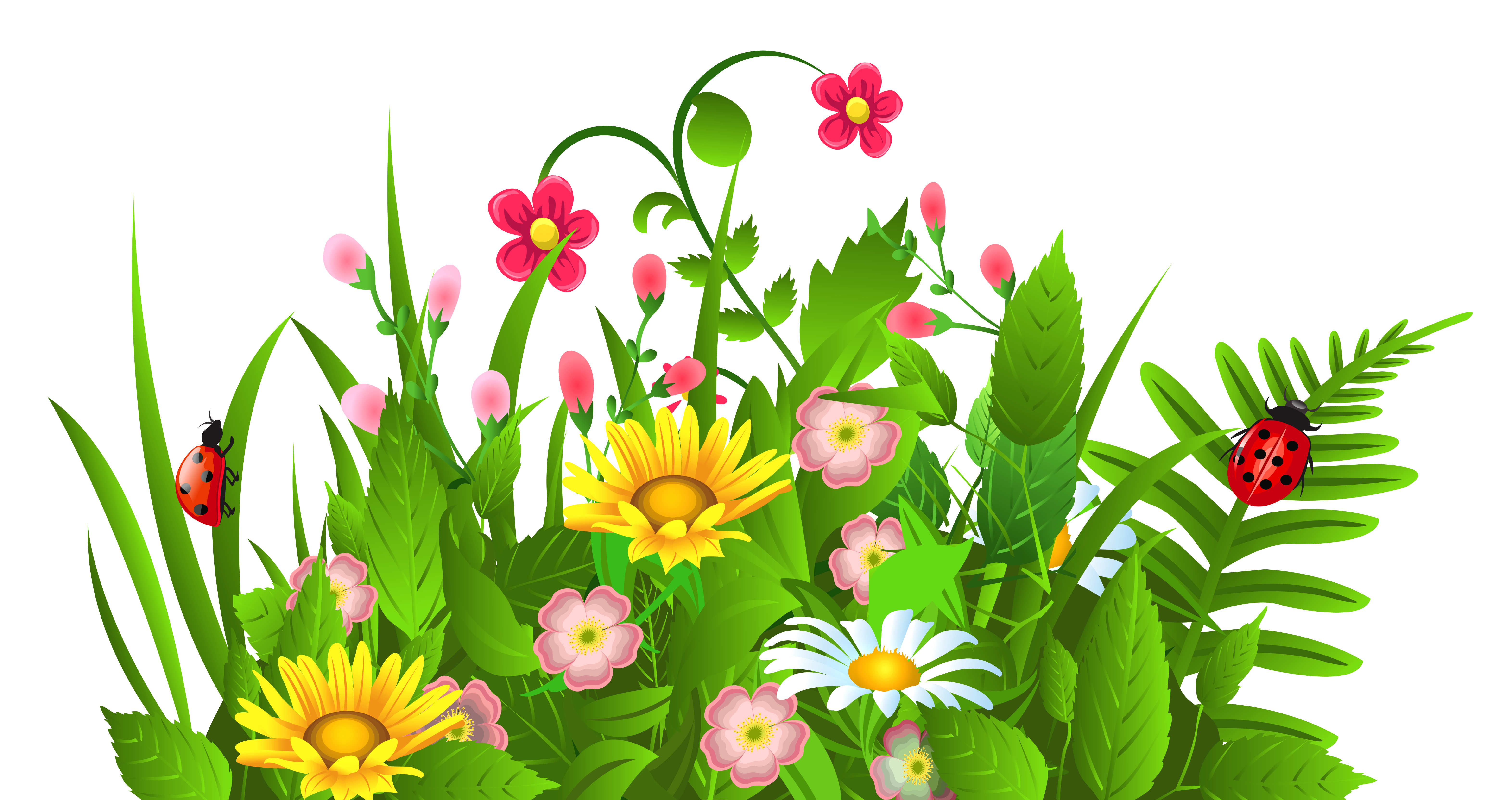 Flower clipart summer. Free images of flowers