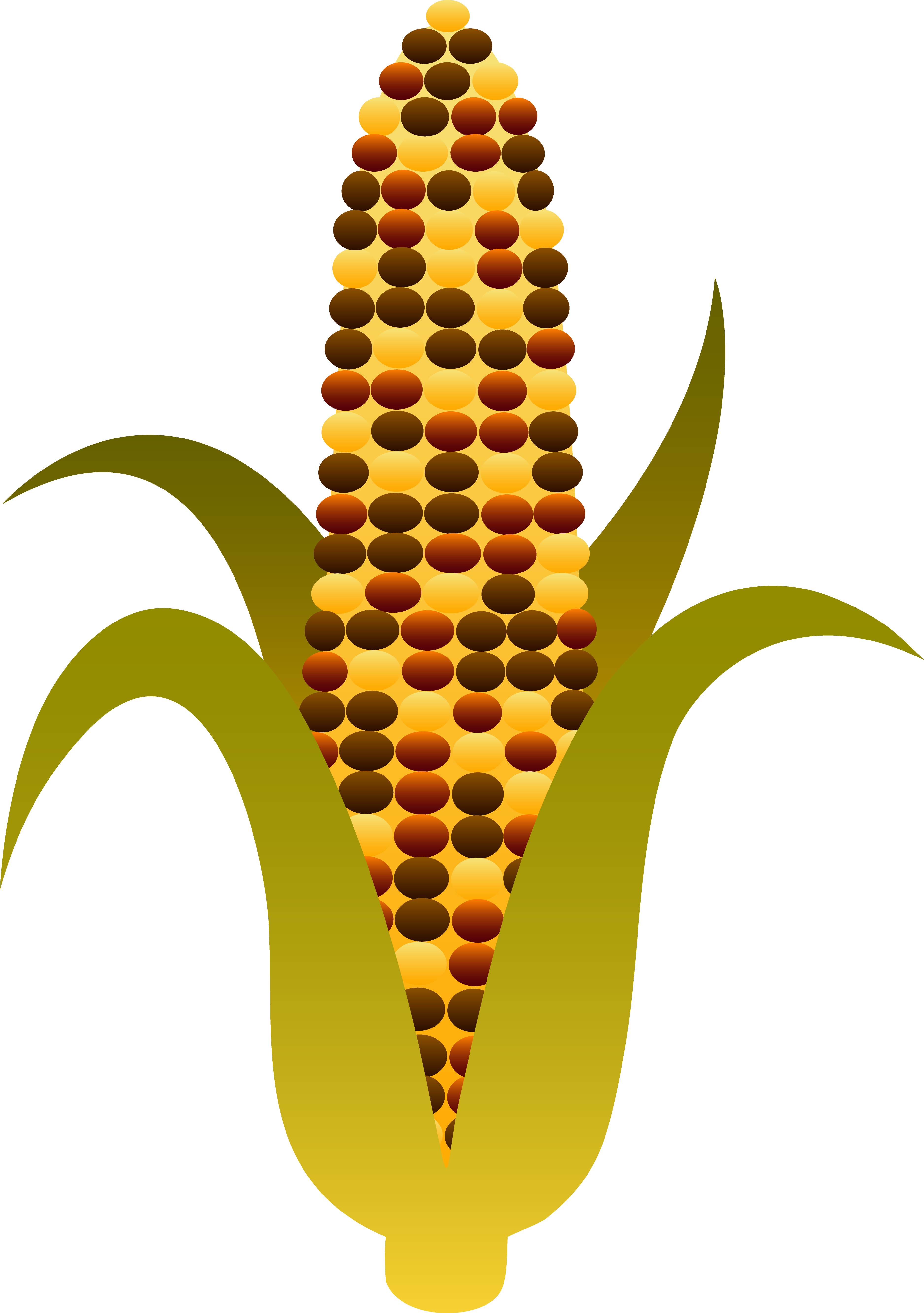 Indian harvest corn maize. Clipart turkey fork