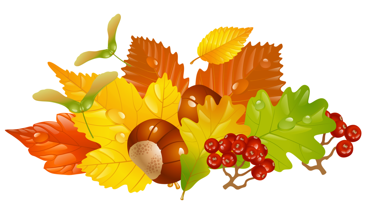 fall clipart autumn fruit