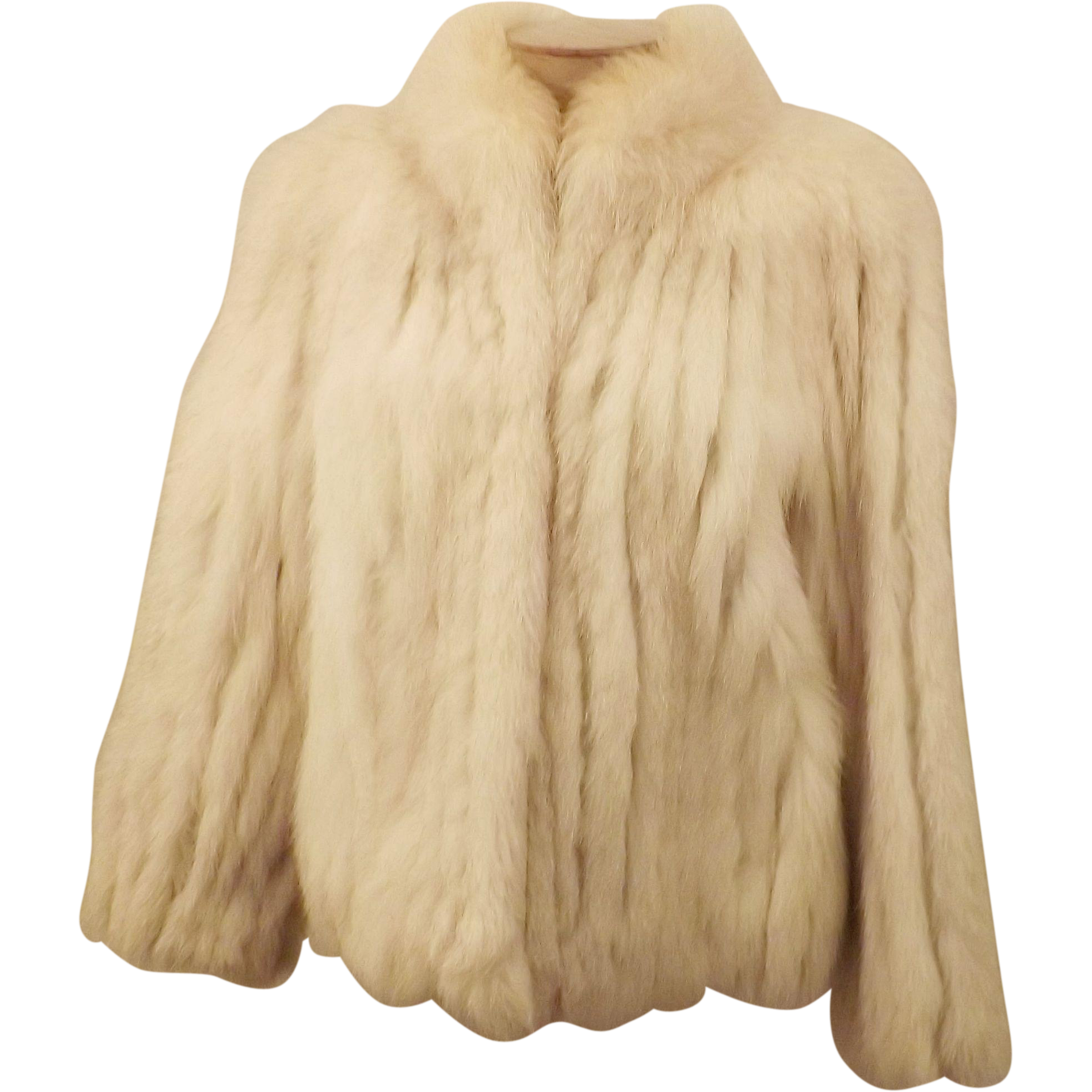 coat clipart animal fur